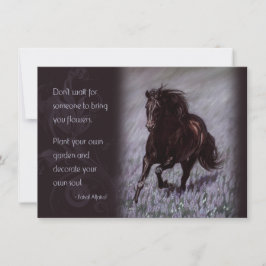 Stallion negro en un campo de sueños