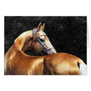 Stallion Palomino Akhal-teke