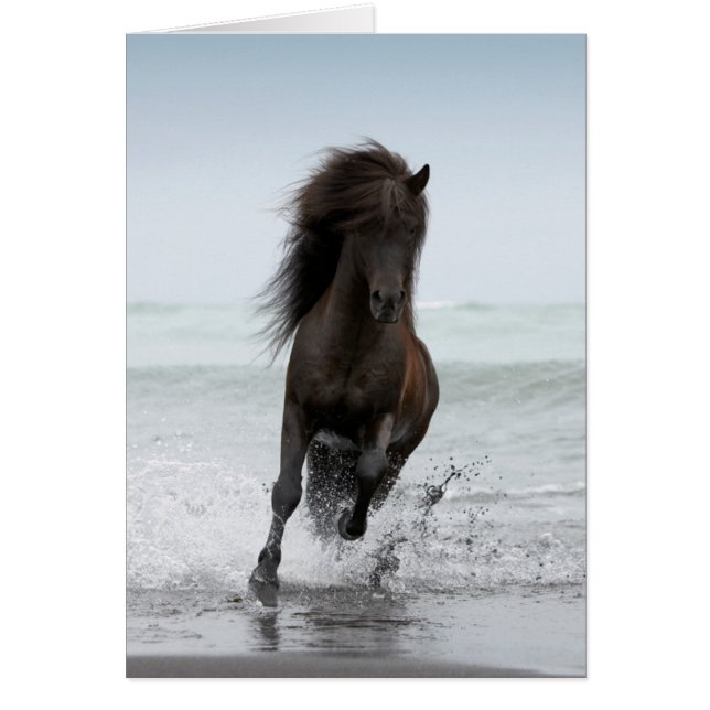 Stallion Running On Beach | Atlántico Norte (Frente)