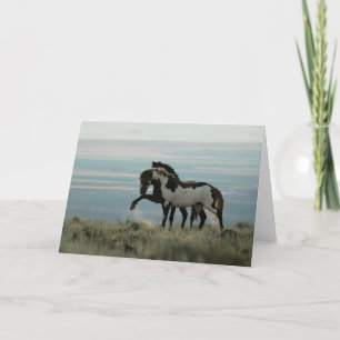 Stallions en la tarjeta de felicitación del alto d