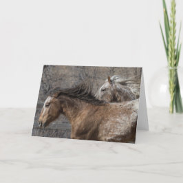 Stallions silvestres: Tarjeta de felicitación Gall