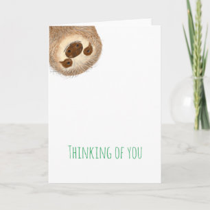 Stanley Sloth pensando en tu tarjeta