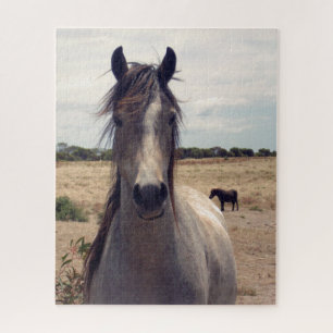 Star The Arab Pony, rompecabezas de Jigsaw