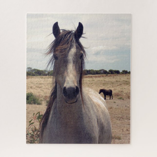 Star The Arab Pony, rompecabezas de Jigsaw (Vertical)