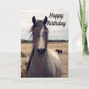 Star The Arab Pony, tarjeta de cumpleaños