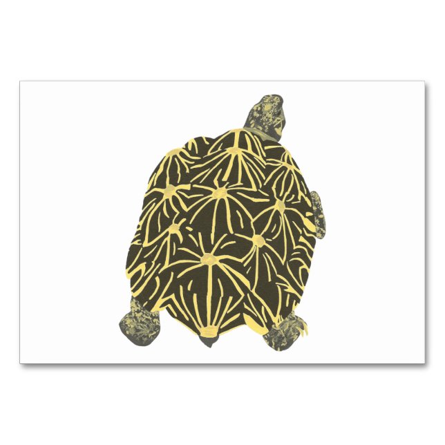 Star Tortoise Turtle Leer tarjetas para adultos (Anverso)