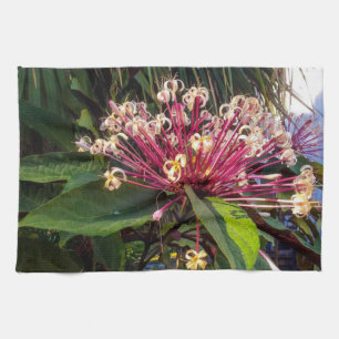 Starburst Clerodendrum Flores Cocina Toallas