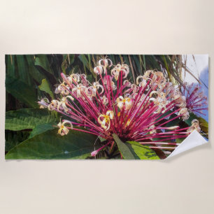 Starburst Clerodendrum Flores Toalla de Playa