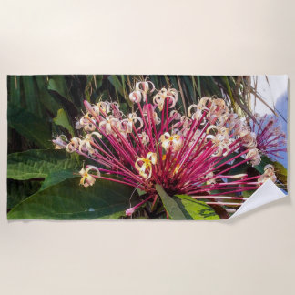 Starburst Clerodendrum Flores Toalla de Playa