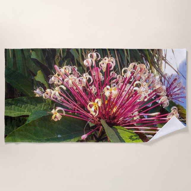 Starburst Clerodendrum Flores Toalla de Playa (Anverso)
