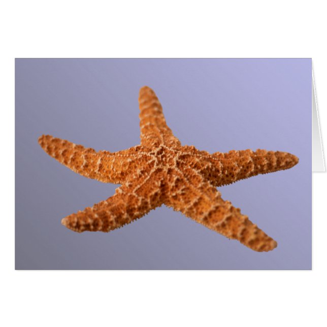 Starfish (Anverso (Horizontal))