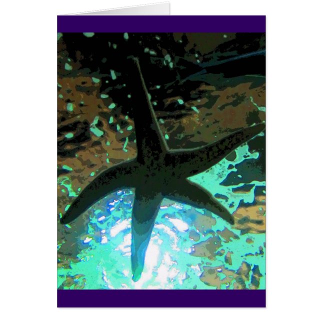 Starfish CB (Frente)