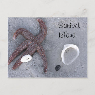 Starfish de la isla de Sanibel y postales de Shell