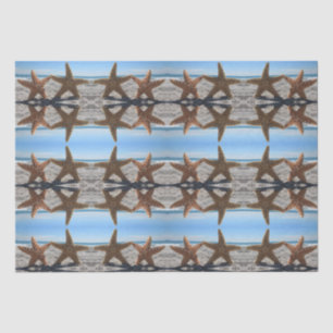 Starfish en el papel de los tejidos de la playa