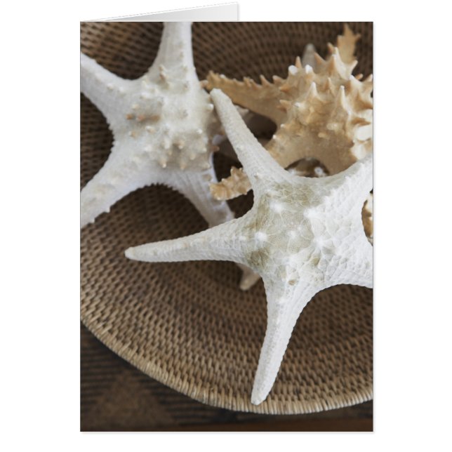Starfish en una cesta (Frente)