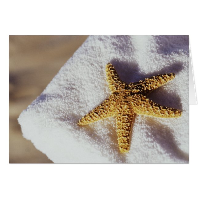 Starfish En Una Toalla (Anverso (Horizontal))