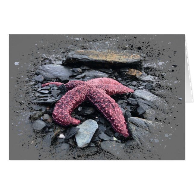 Starfish - Tarjeta de arte de 5" x 7" (Anverso (Horizontal))