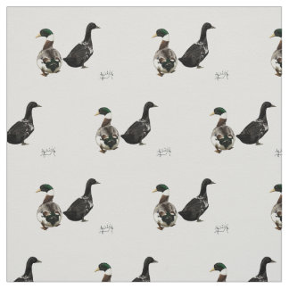 Stargazer Drake y su tela Lady Duck - blanco