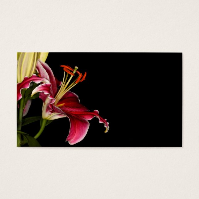 Stargazer Lily (Frente)