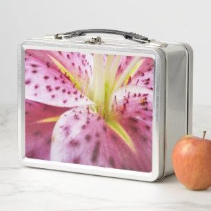 Stargazer Lily Bright Magenta Floral