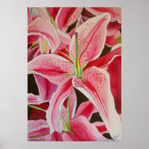 Stargazer lirio rosa acuarela arte original