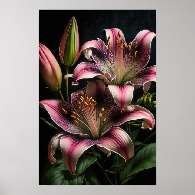 Stargazer rosa Lilies Poster de impresión de arte  (Frente)