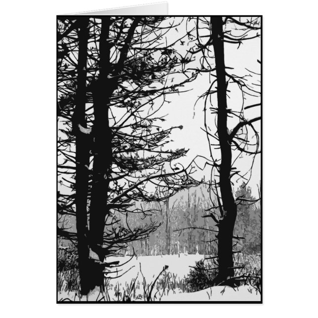 Stark Winter Day (Frente)