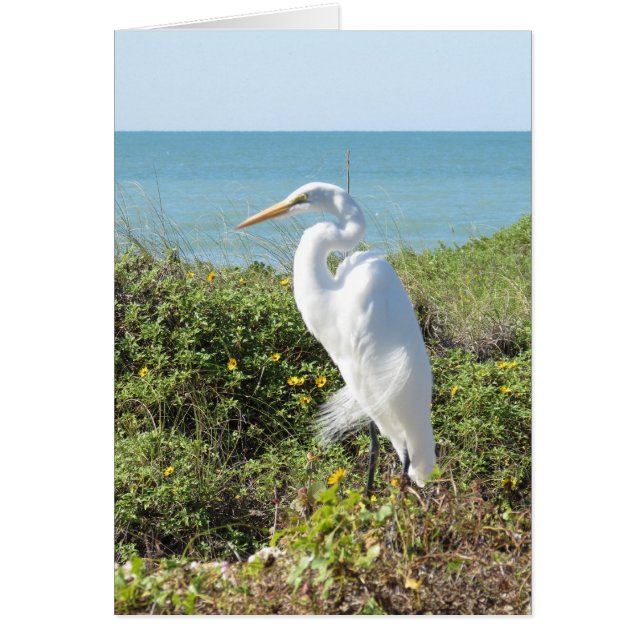 Statuesque Heron (Frente)