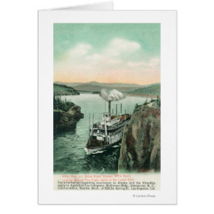 Steamer de caballo blanco