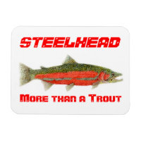 Steelhead- Más que un imán de trucha