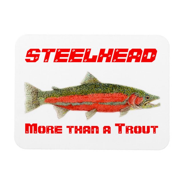 Steelhead- Más que un imán de trucha (Horizontal)