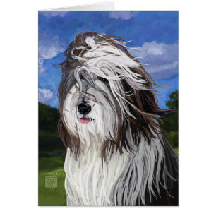 Stella, el perro ovino inglés