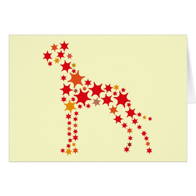 Sternchen Dogge (Anverso (Horizontal))