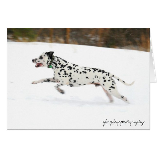 Sting (Anverso (Horizontal))