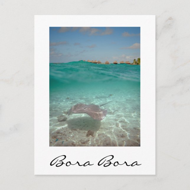 Stingray bajo el agua, tarjeta vertical Bora Bora (Anverso)