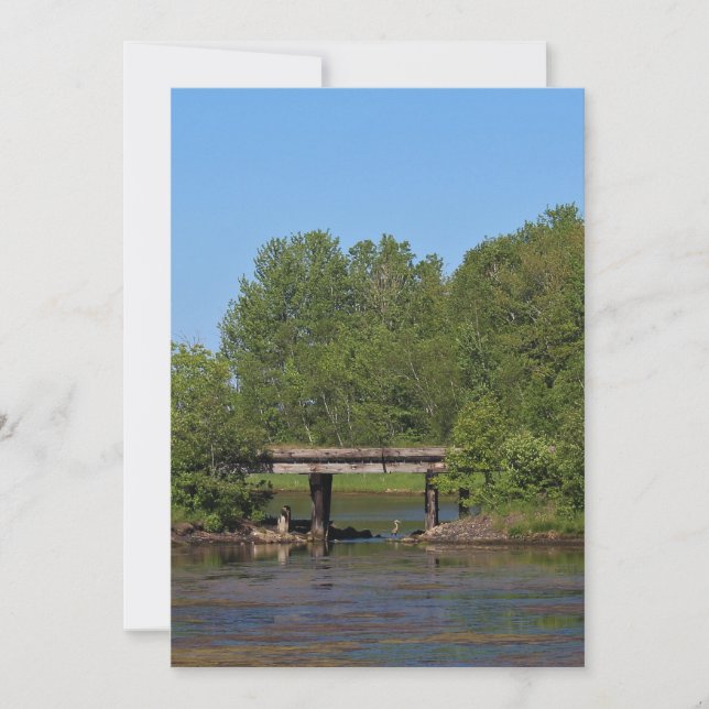 Stork Under a Bridge (Anverso)