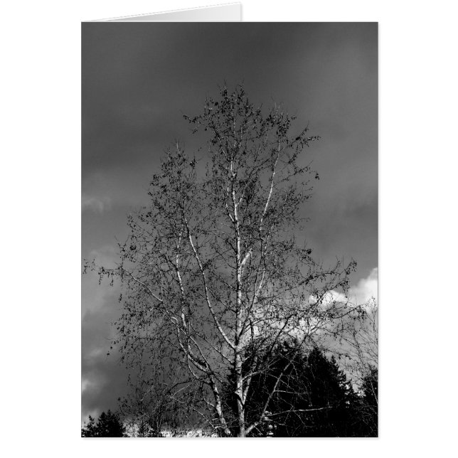 Stormy Skies (Frente)