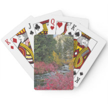 Stream Blooms Juego de Cartas