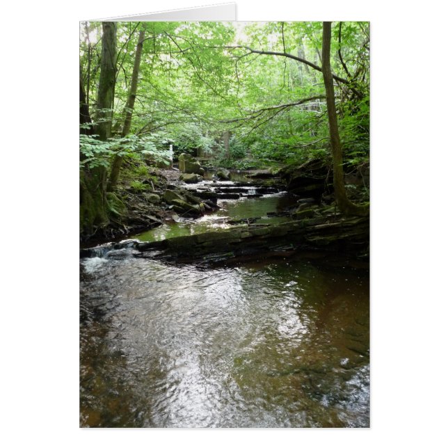 "Stream in Northumberland Woods" (2) (Frente)