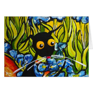 Stressie en los iris