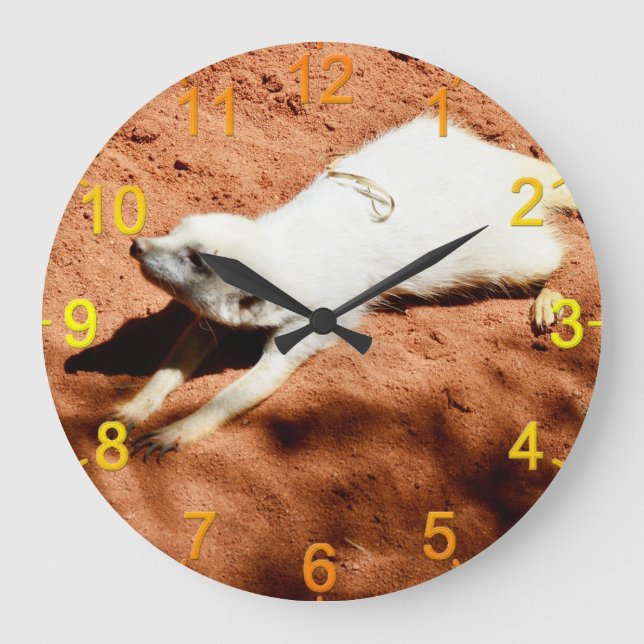 Stretching de Meerkat blanco, reloj de pared (Anverso)