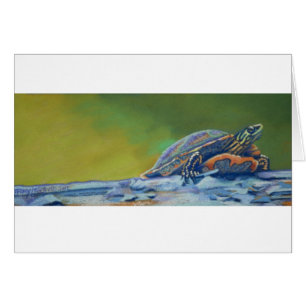 Striper espigado rojo de la tortuga de Frank