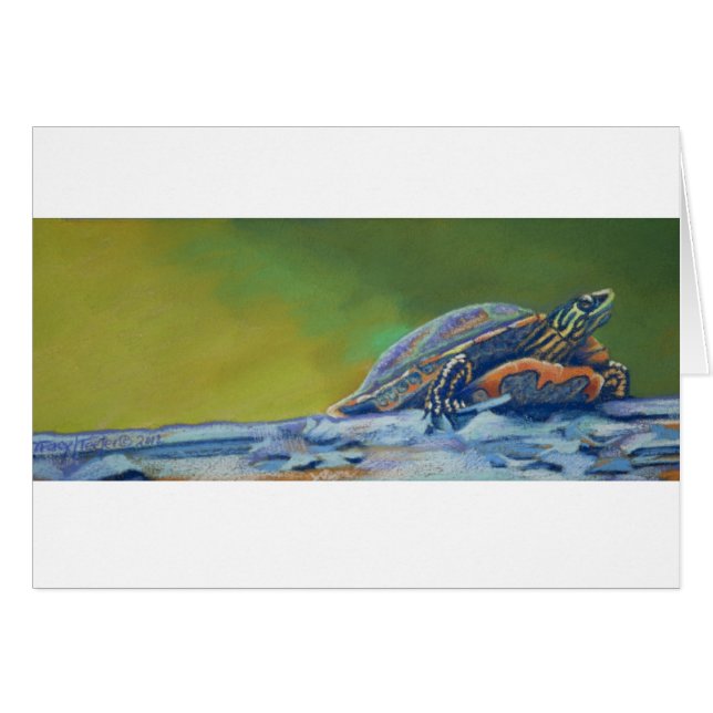 Striper espigado rojo de la tortuga de Frank (Anverso (Horizontal))