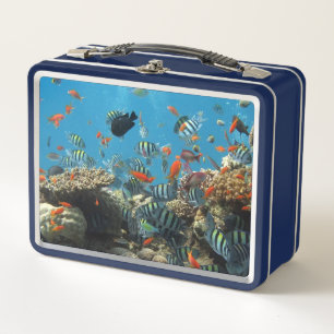 Stripey Tropical Fish Coral Chaos