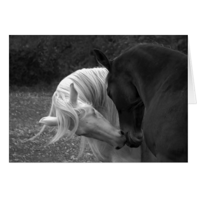 Su Amor (Anverso (Horizontal))