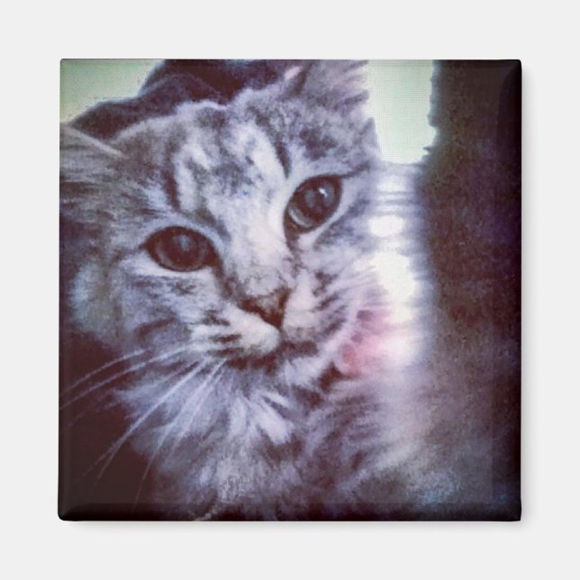 Su imán personalizado Mascota (Frente)