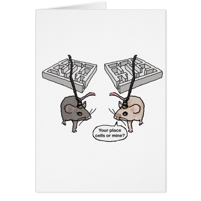 ¿Su lugar (células) o el mío? (Frente)