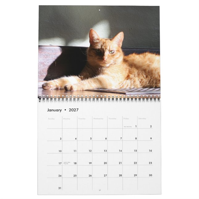 Su majestad el calendario del gato 2013 (Jan 2027)
