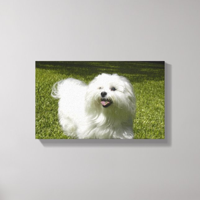 Su Mascota en una impresión de lienzo estirado (Anverso)