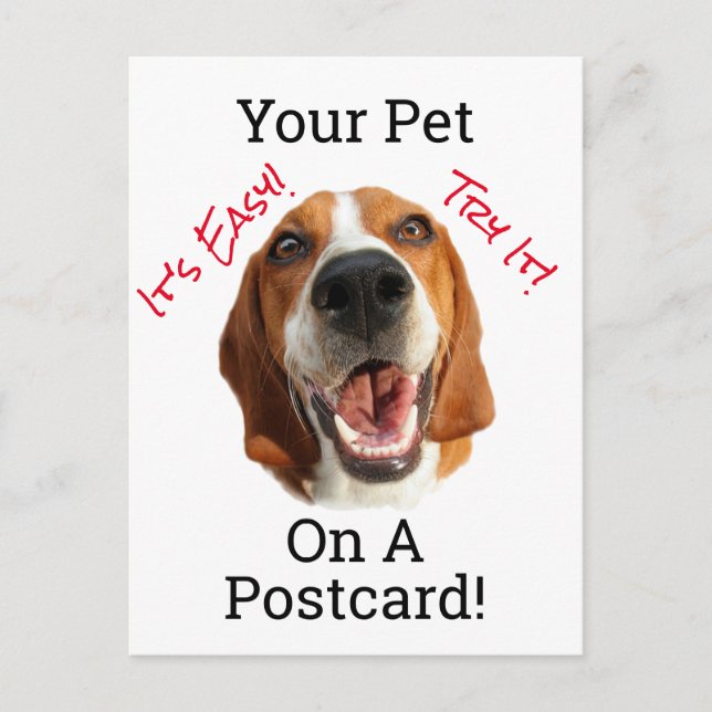 Su Mascota En Una Postal (Anverso)